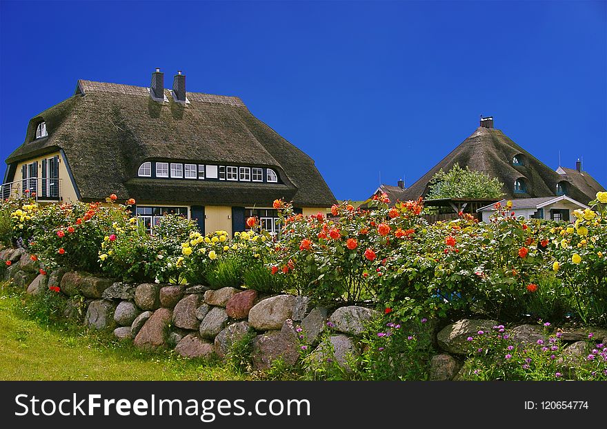 Flower, Cottage, Sky, House