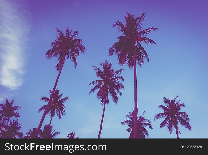 Beautiful outdoor view with tropical nature and silhouette coconut palm tree on the sky at sunset time - Vintage Filter. Beautiful outdoor view with tropical nature and silhouette coconut palm tree on the sky at sunset time - Vintage Filter