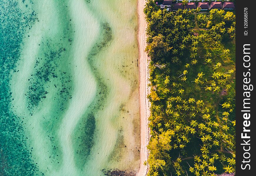 Aerial view of beautiful tropical beach and sea with trees on island for travel and vacation