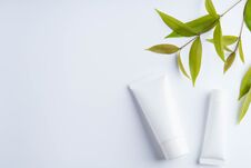 Beautiful Natural Cosmetics And Leaves On Light Stock Images