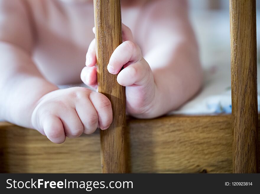 Small, cute newborn baby hands. Small, cute newborn baby hands