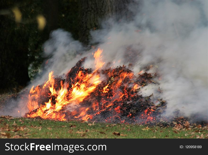 Wildfire, Geological Phenomenon, Fire, Smoke
