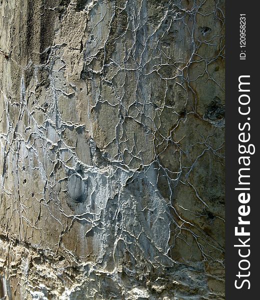 Rock, Bedrock, Geology, Wall