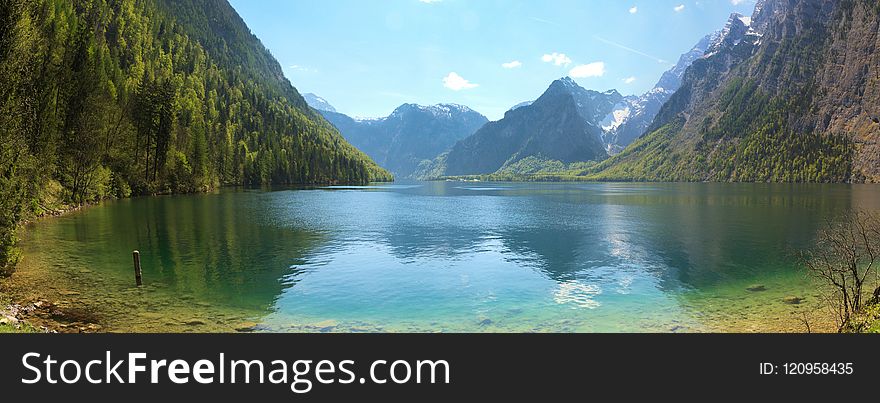 Nature, Nature Reserve, Mount Scenery, Wilderness