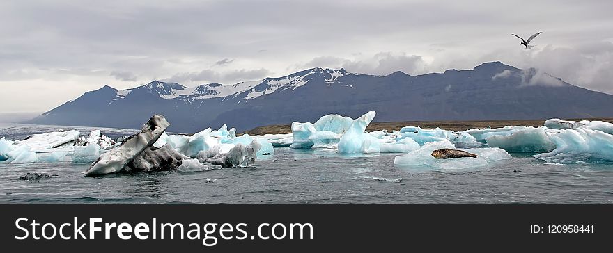 Iceberg, Sea Ice, Arctic Ocean, Arctic