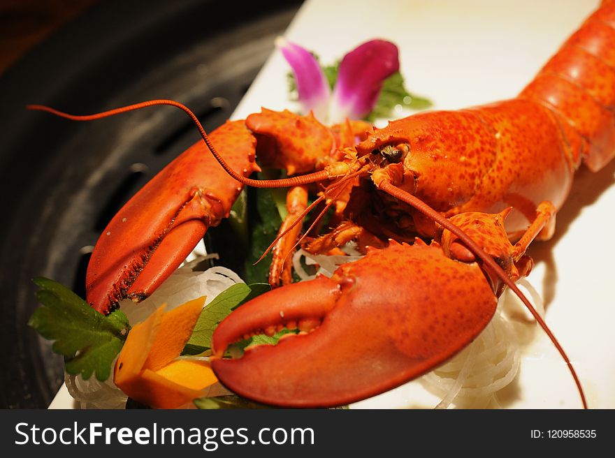 Seafood, American Lobster, Lobster, Decapoda