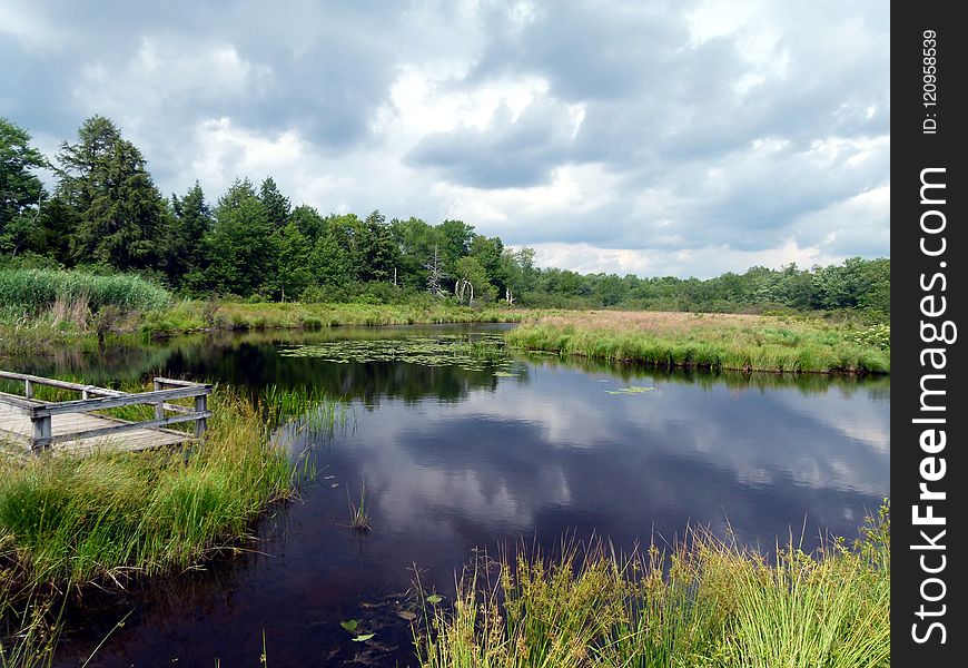 Reflection, Wetland, Nature Reserve, Waterway