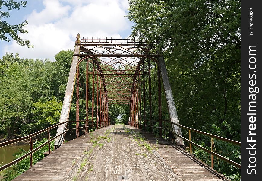 Bridge, Truss Bridge, Nature Reserve, Tree