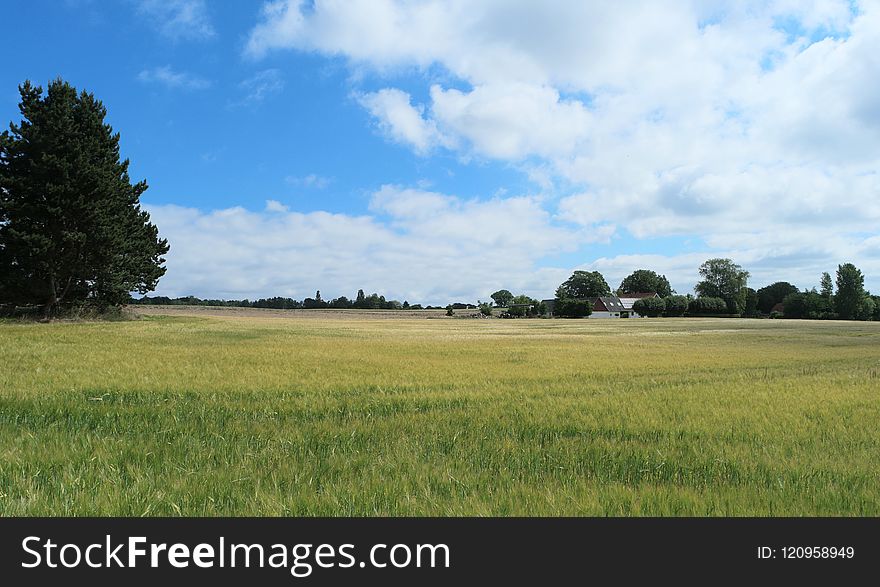 Grassland, Sky, Field, Prairie