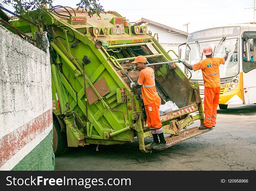 Vehicle, Transport, Motor Vehicle, Tree