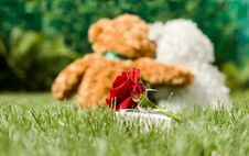 Love And Romance. Teddy Bears On A Green Lawn Stock Photography