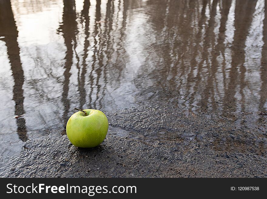 Reflected in a puddle of rows of trees, on the edge of the puddle is an apple of green color, a spring motif