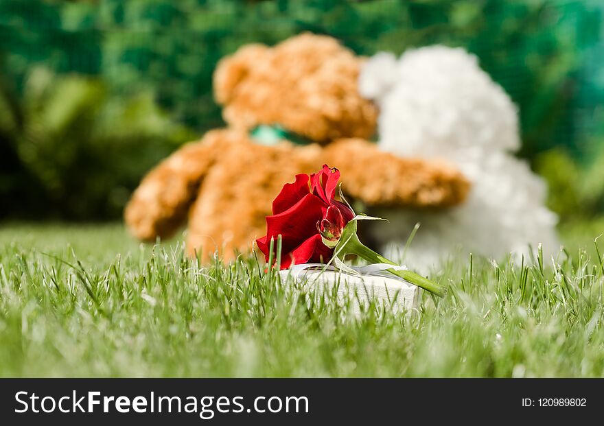 Symbol of love and friendship. Two toy teddy bears against the backdrop of a summer garden. Romantic card. Symbol of love and friendship. Two toy teddy bears against the backdrop of a summer garden. Romantic card