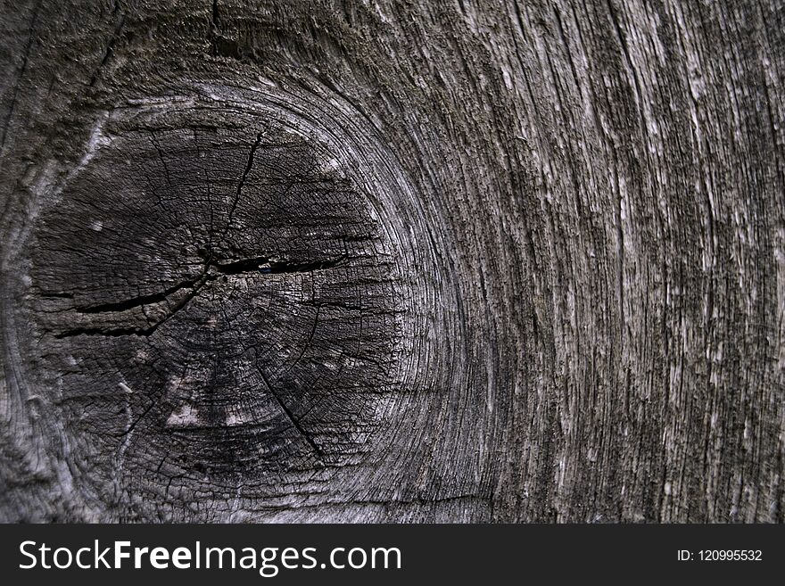 wood wall texture closeup gray color background