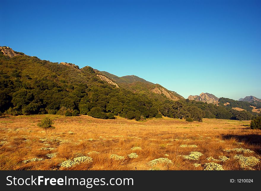 Meadow  and blue sky in malibu state park ca