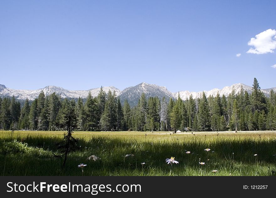 Scenic Mountain Meadow,Edison Lake