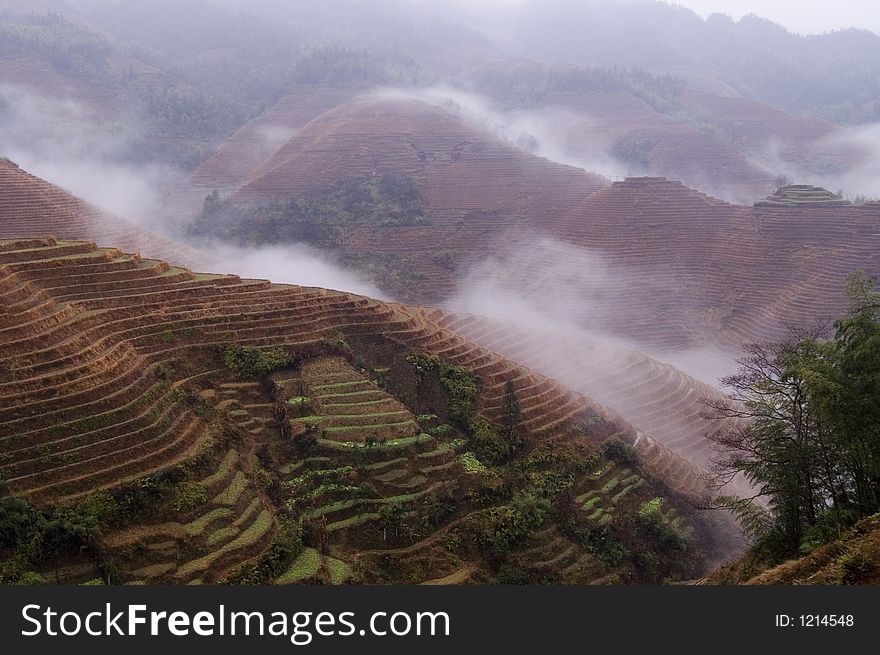 Terrace on mountains