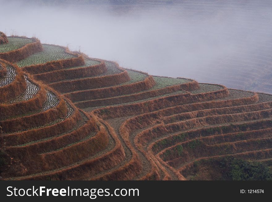 Terrace In Winter