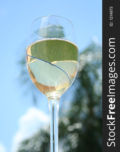 Glass Of Cool White Wine 6
