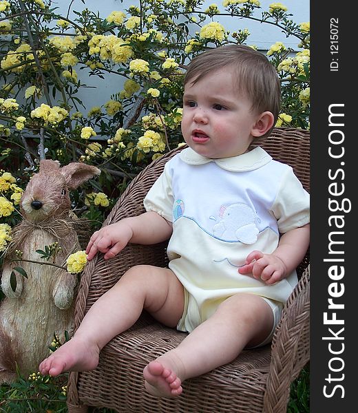 Young boy sitting in a wicker chair with a yellow banks rose in the background and rabbit by his side. Young boy sitting in a wicker chair with a yellow banks rose in the background and rabbit by his side