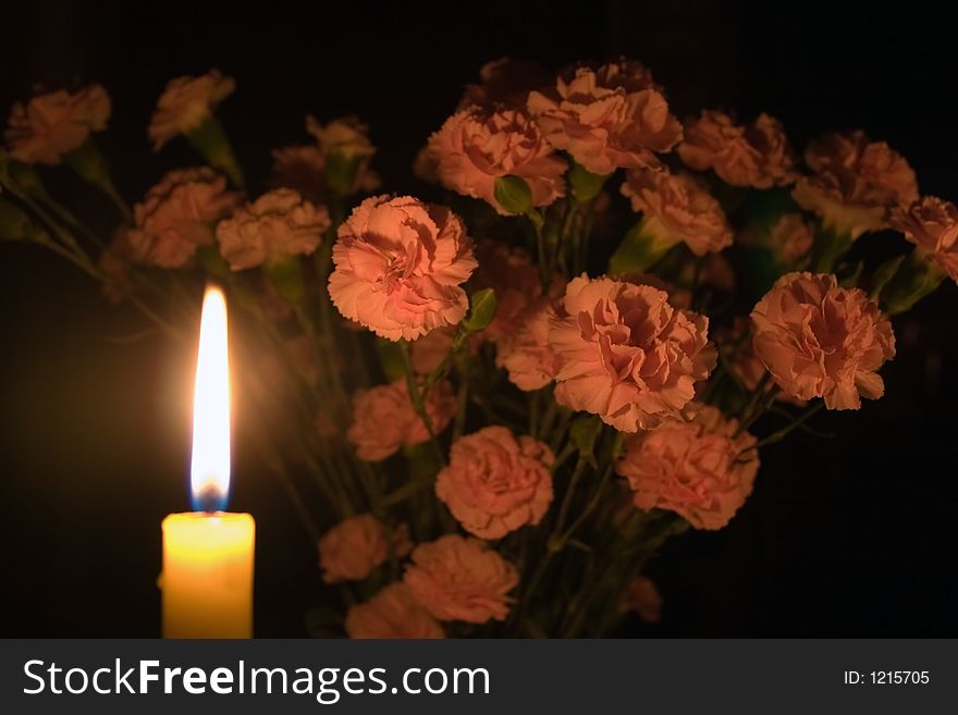 A bunch of carnations partly illuminated by a candle. A bunch of carnations partly illuminated by a candle