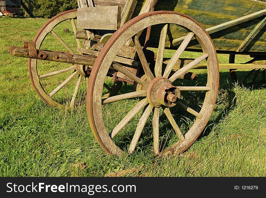 Old coach wagon wheel on a Meadow