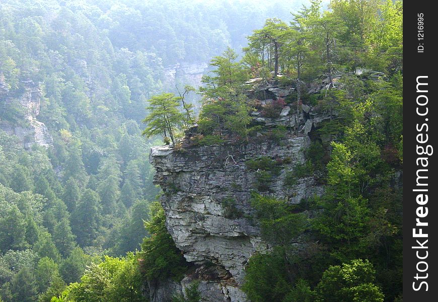 A rocky cliff at Fall Creek Falls State Park. A rocky cliff at Fall Creek Falls State Park