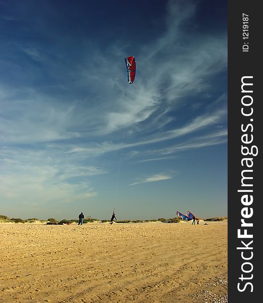 Kiter fly on beach