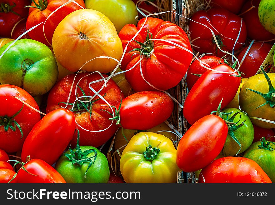 Colorful Tomatoes Varieties.