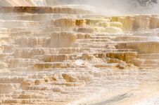 Thermal Springs At Mammoth Hot Springs In Wyoming Stock Images Thermal Springs At Mammoth Hot Springs In Wyoming Stock Images