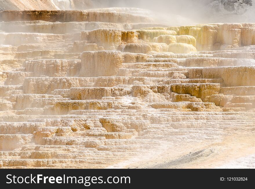 Thermal Springs At Mammoth Hot Springs In Wyoming