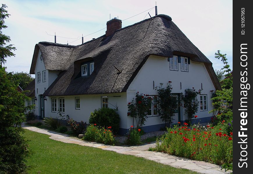 House, Property, Cottage, Thatching