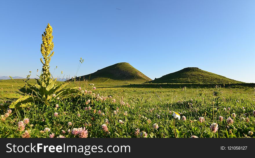 Grassland, Field, Sky, Vegetation