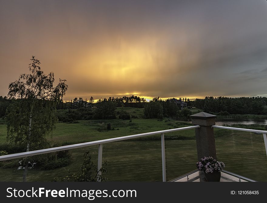 Sky, Cloud, Evening, Tree