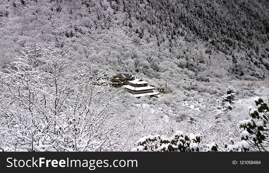 Snow, Winter, Frost, Geological Phenomenon