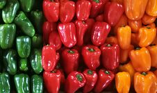 Red,green,orange And Yellow Bell Peppers On A Counter In The Supermarket. Royalty Free Stock Photography