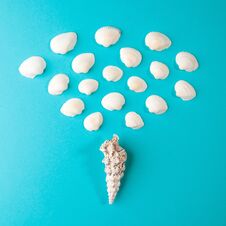 Seashell Of Cone Shape With Many Little Seashells On Blue Paper Background Royalty Free Stock Photography Seashell Of Cone Shape With Many Little Seashells On Blue Paper Background Royalty Free Stock Photography