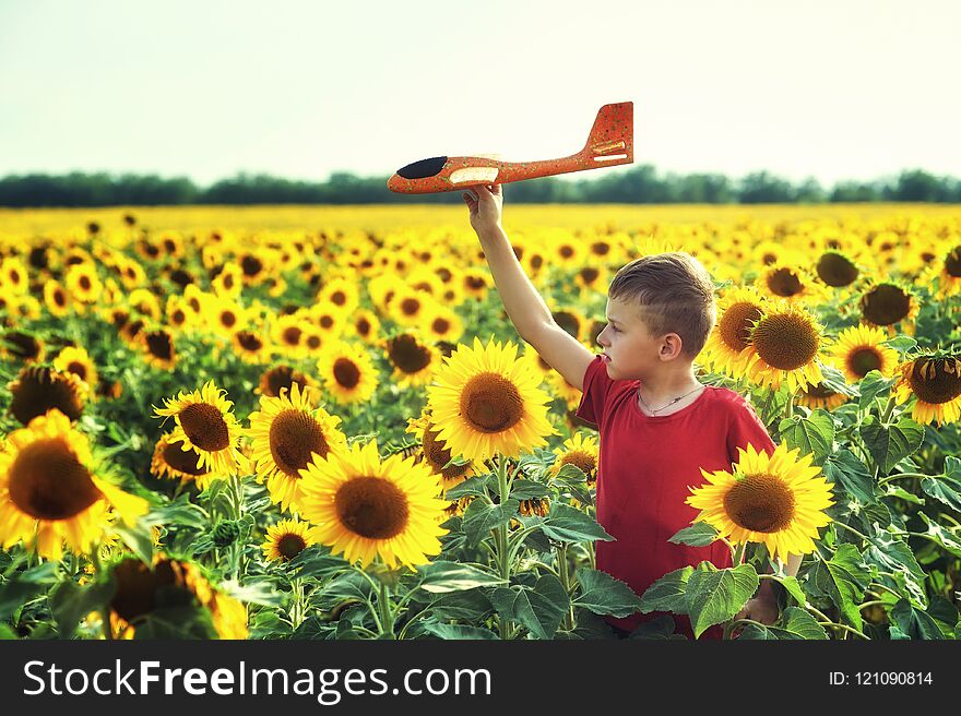 The boy plays with a model plane in the field with sunflowers . Outdoor games