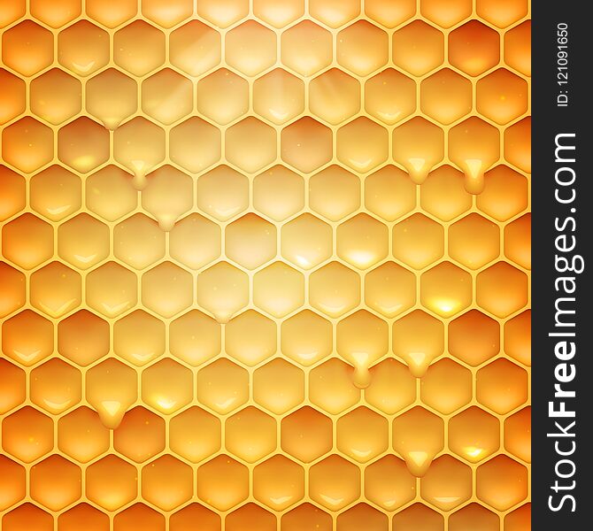 Stock Vector Illustration Realistic Honeycomb Texture. Honey, Beeswax. EPS 10