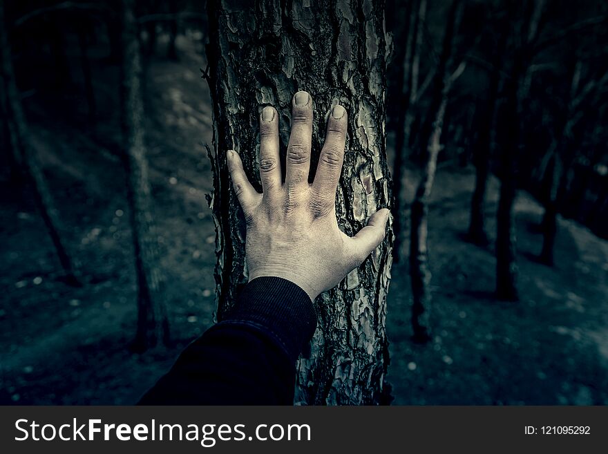 Male hand touching a tree, detail of love for nature, environment