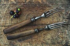 Ancient Forks On A Wooden Board, A Branch Of Black Currant Stock Photos Ancient Forks On A Wooden Board, A Branch Of Black Currant Stock Photos