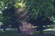 Green Trees In A Park And Red Sunny Rays Horizontal Image Stock Photos