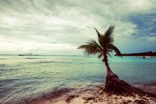 Ocean And Tropical Coastline In Dominican Republic Stock Photo