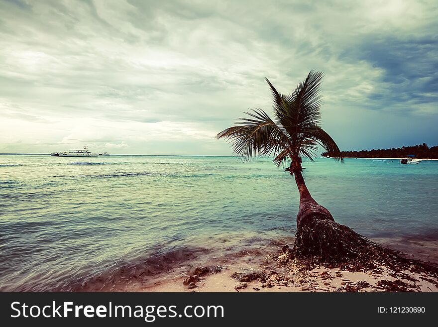 Romantic vacation on a tropical beach with palm trees and ocean. Romantic vacation on a tropical beach with palm trees and ocean