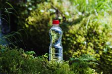 Transparent Plastic A Bottle Of Clean Water With A Red Lid Stands In The Grass And Moss On The Background Of The Royalty Free Stock Photography