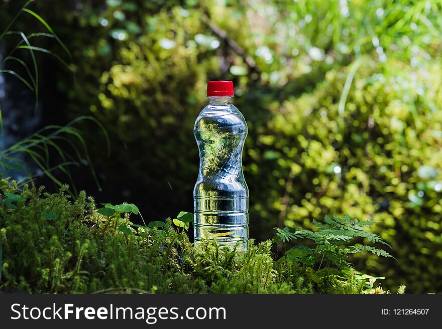 Transparent plastic A bottle of clean water with a red lid stands in the grass and moss on the background of the
