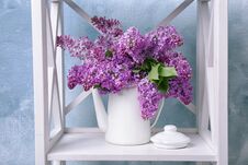 Pot With Blossoming Lilac On Shelf Stock Image