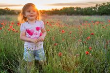 Cute Child Girl In Poppy Field Stock Photography