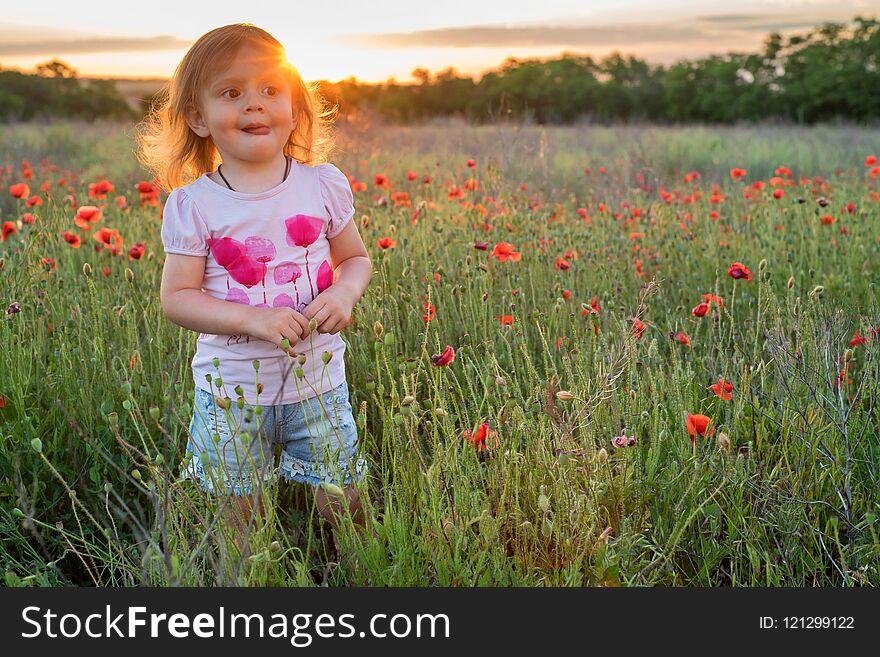 Cute child girl in poppy field