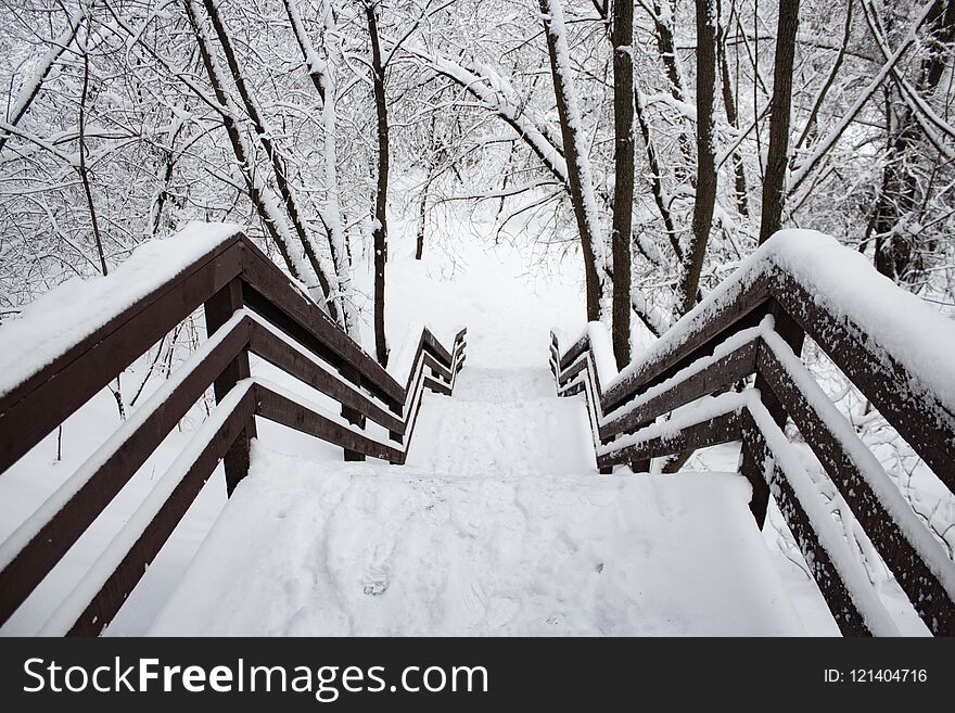 Snow-covered wooden staircase down in the winter forest